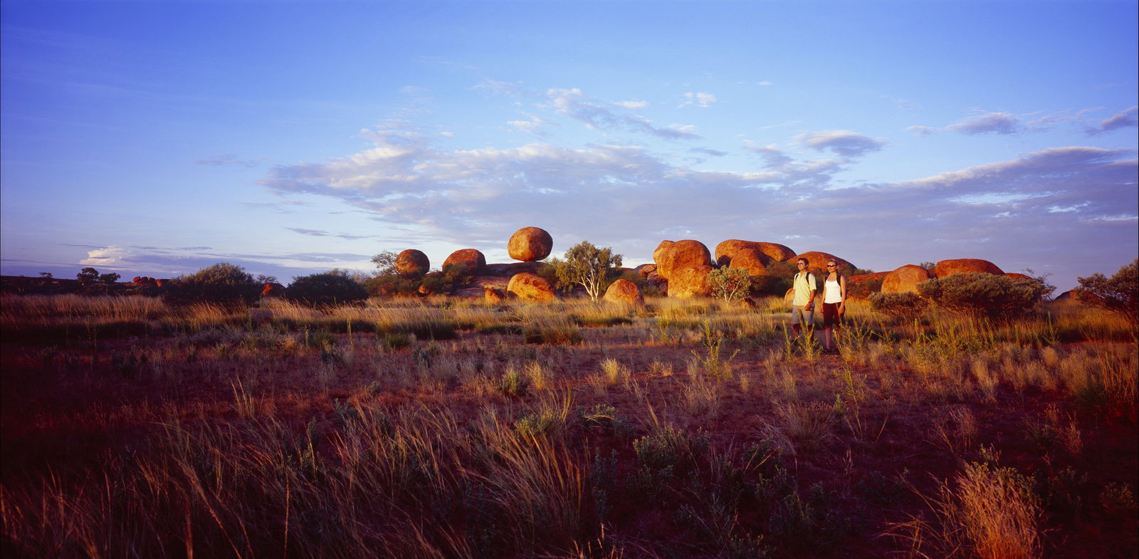  eAccommodation