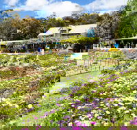 Kate's Berry Farm - eAccommodation
