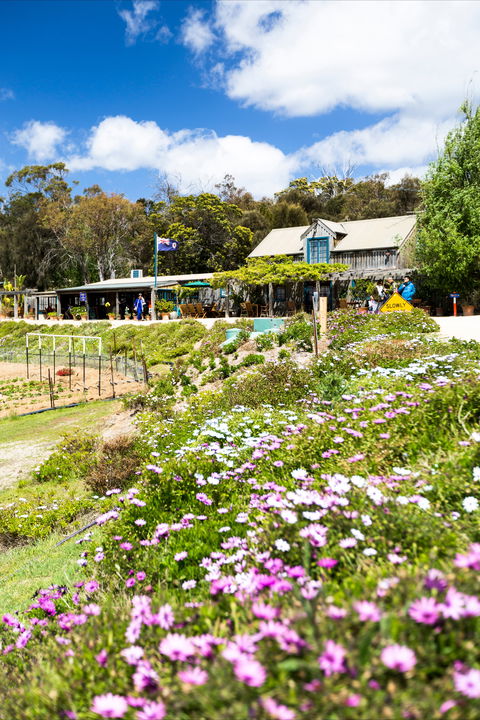 Kate's Berry Farm - eAccommodation 0