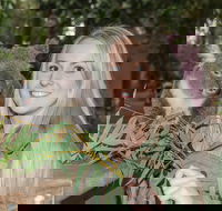 Koala Park Sanctuary - eAccommodation