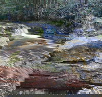 Liffey Falls Reserve - eAccommodation