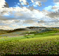 Lions Park Hodgson Vale - eAccommodation