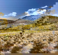 Little Mountain Walking Track