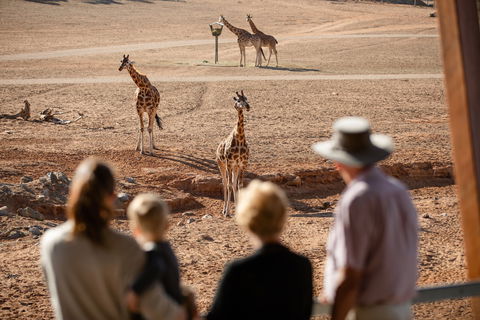 Monarto Safari Park - eAccommodation 0