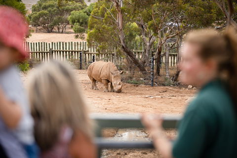 Monarto Safari Park - eAccommodation 1