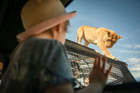 Monarto Safari Park - eAccommodation 2