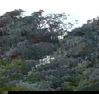 Mount Yarrowyck Nature Reserve - eAccommodation
