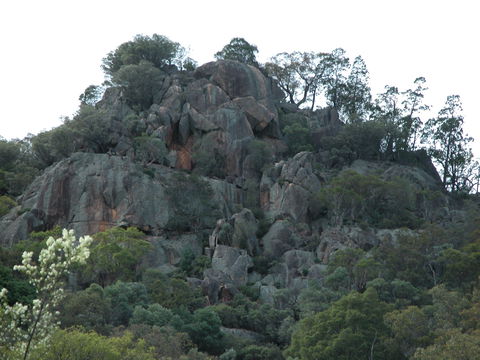 Mount Yarrowyck Nature Reserve - eAccommodation 0