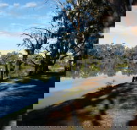 Murray River National Park - Katarapko - eAccommodation
