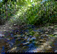 Nambucca Valley - eAccommodation