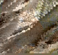 Narrandera - eAccommodation