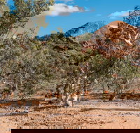 Old Coach Road Drive