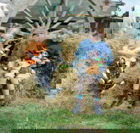 Rain Hayne and Shine Farmyard - eAccommodation