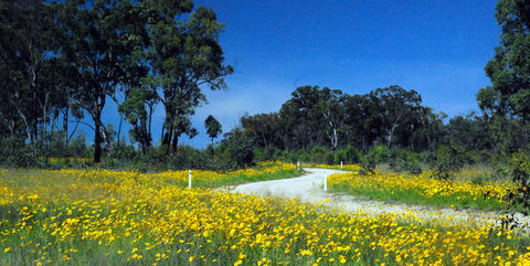 Shearer's Way - eAccommodation 0
