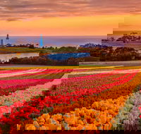 Table Cape - eAccommodation