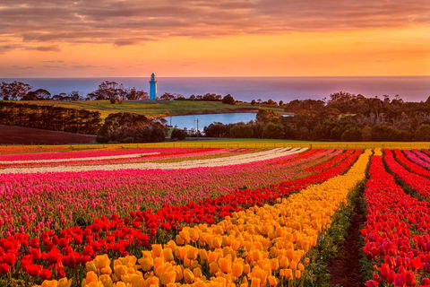 Table Cape - eAccommodation 0