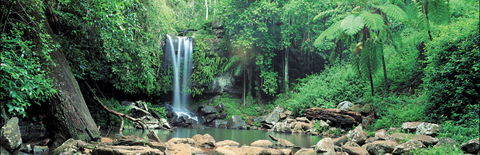 Tamborine National Park - eAccommodation 0