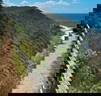 The Coast Walking Track - eAccommodation