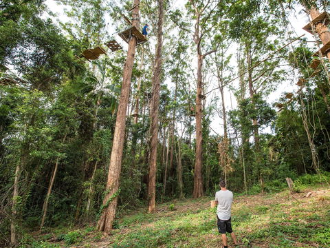 TreeTop Challenge - Sunshine Coast - eAccommodation 1