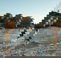 Venus Bay - eAccommodation
