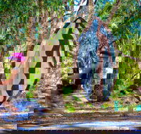 Wagirra Trail and Yindyamarra Sculpture Walk - eAccommodation