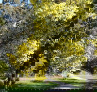 Wattle Park - eAccommodation