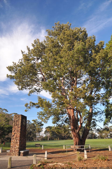 Wattle Park - eAccommodation 2