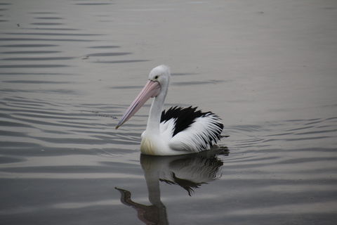 Woolley's Beach Walk - eAccommodation 1