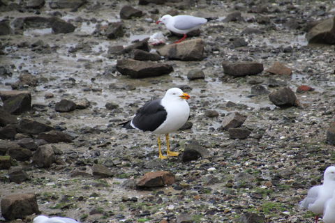 Woolley's Beach Walk - eAccommodation 2