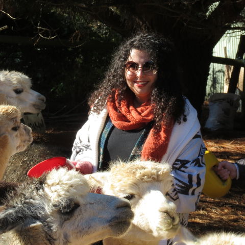 Alpaca Farm Experience At Crookwell - eAccommodation 1