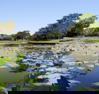 Anderson Park Botanic Gardens - eAccommodation