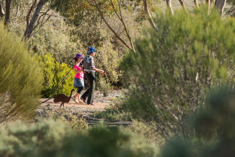 Australian Arid Lands Botanic Garden - eAccommodation 0