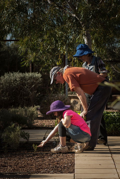 Australian Arid Lands Botanic Garden - eAccommodation 1