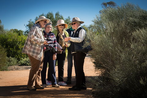 Australian Arid Lands Botanic Garden - eAccommodation 2