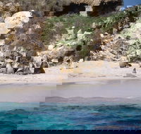 Australian Sea Lions - eAccommodation