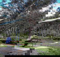Barrington Tops State Forest - eAccommodation