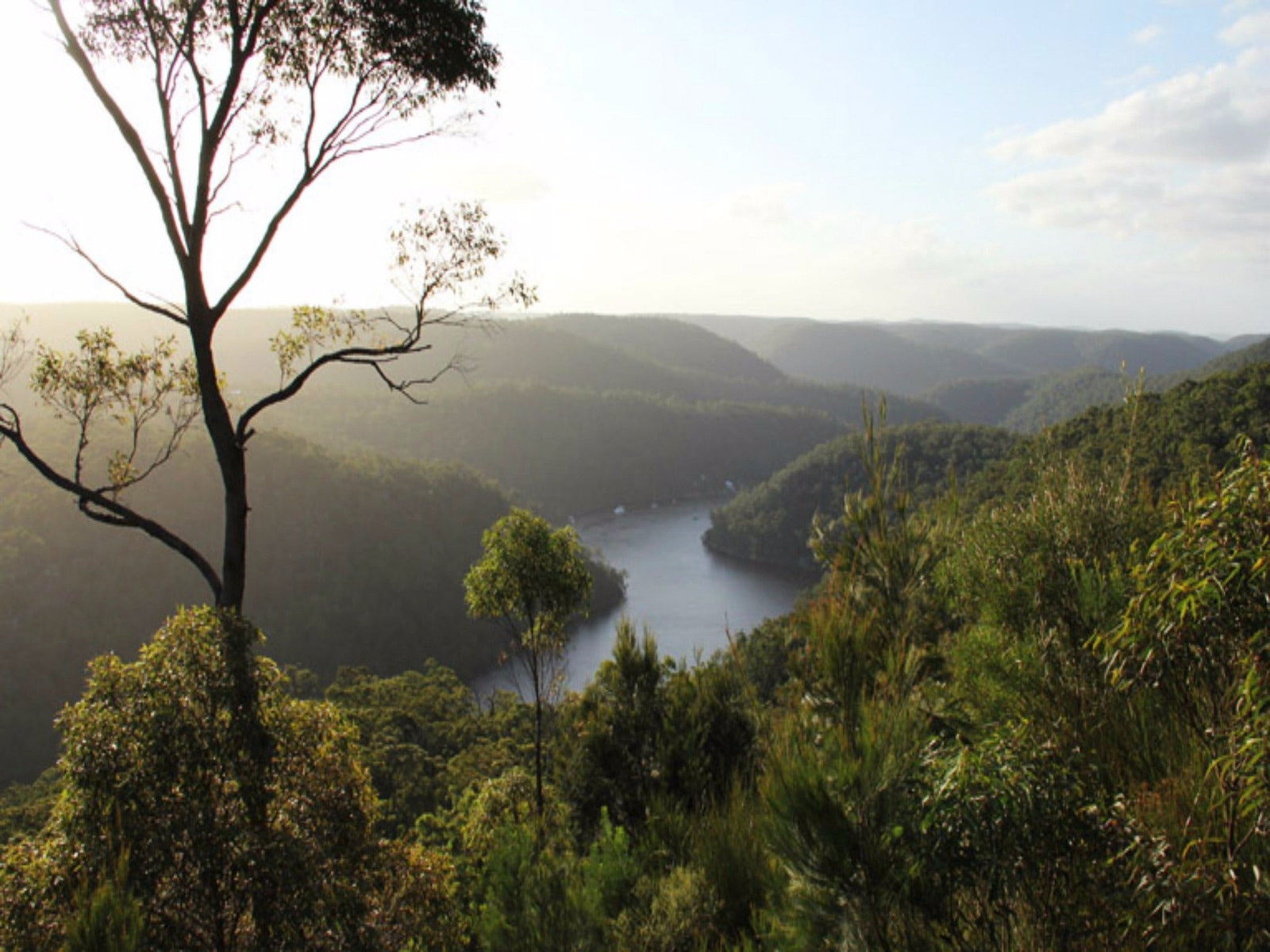 Thornleigh NSW eAccommodation