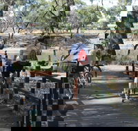 Bidgee Riverside Trail  - Hay Nature Walk - eAccommodation