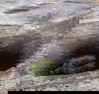 Blowhole and the Rocks - eAccommodation