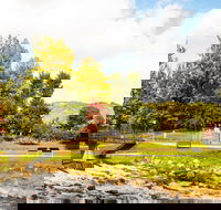 Bright - eAccommodation