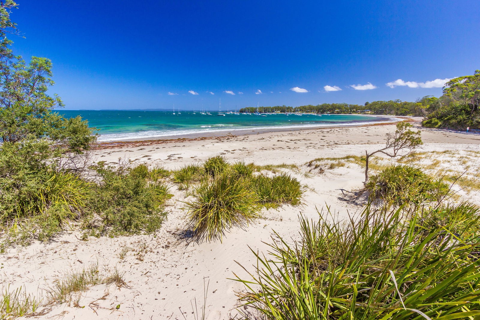 Callala Bay NSW eAccommodation