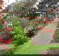 Cowra Rose Garden - eAccommodation