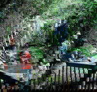 Curtis Falls track Tamborine National Park - eAccommodation