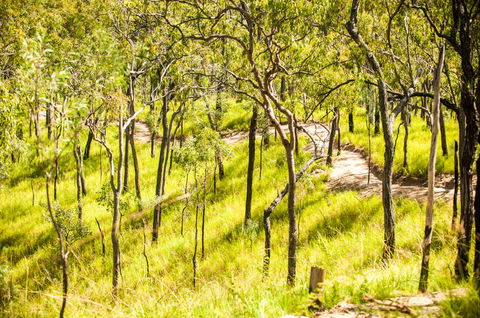 Davies Creek Mountain Bike Park - eAccommodation 0