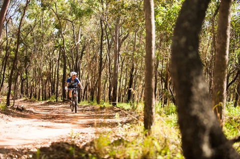 Davies Creek Mountain Bike Park - eAccommodation 1