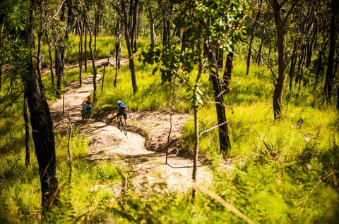 Davies Creek Mountain Bike Park - eAccommodation 2