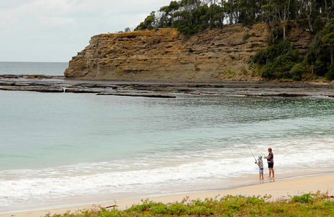 Depot Beach Picnic Area - eAccommodation 0
