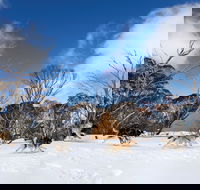 Dinner Plain - eAccommodation