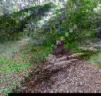 Double Wharf Trail - eAccommodation