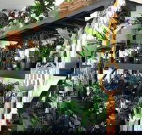 Fancy Plants - eAccommodation